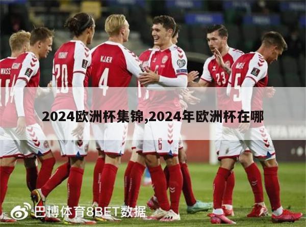 2024欧洲杯集锦,2024年欧洲杯在哪