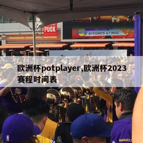 欧洲杯potplayer,欧洲杯2023赛程时间表