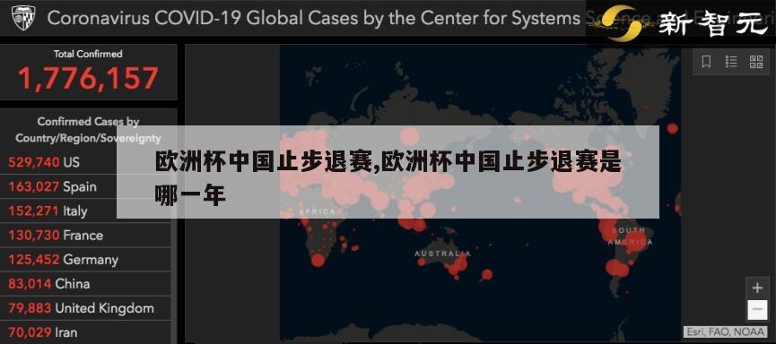 欧洲杯中国止步退赛,欧洲杯中国止步退赛是哪一年