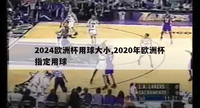 2024欧洲杯用球大小,2020年欧洲杯指定用球