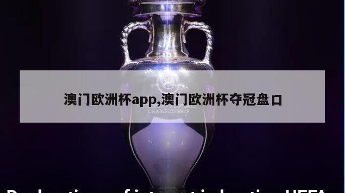 澳门欧洲杯app,澳门欧洲杯夺冠盘口