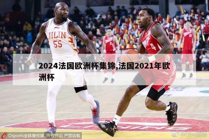 2024法国欧洲杯集锦,法国2021年欧洲杯